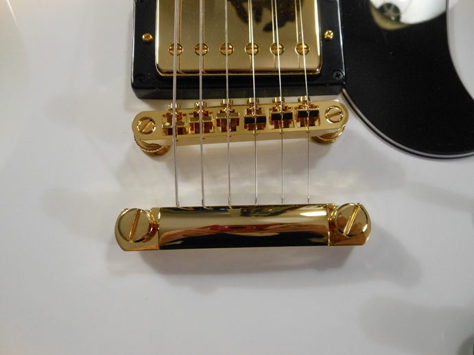 SG Custom Picture 14